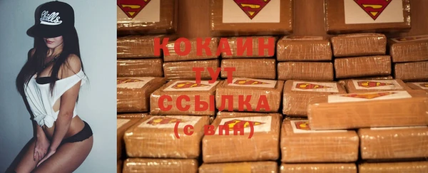 гидра Белокуриха