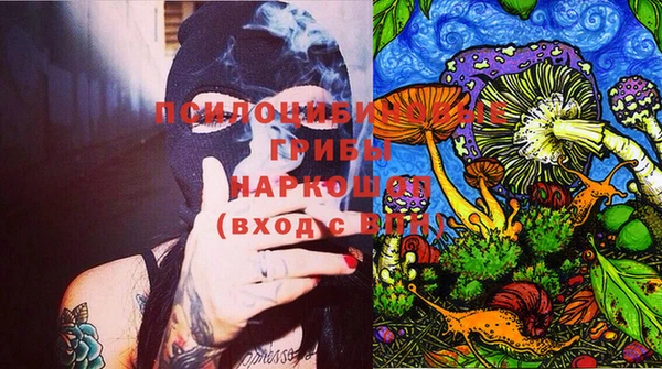 гидра Белокуриха