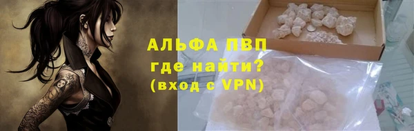 гидра Белокуриха