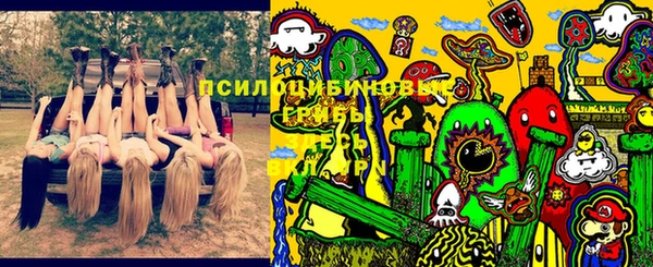 гидропоника Беломорск