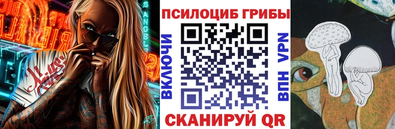 купить наркотики сайты  нарко площадка наркотические препараты  Галлюциногенные грибы MAGIC MUSHROOMS  Староминская 
